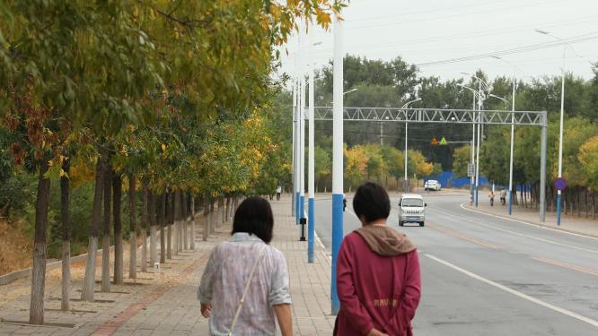 马路牙子人行道上行人和公路上来来往往的车流