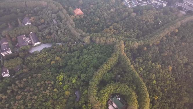 日出光照云海下的南京中山陵美龄宫
