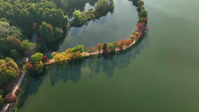 航拍南京中山陵前湖公园秋季景色