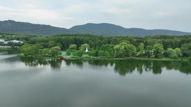 航拍夏季的中山陵前湖公园