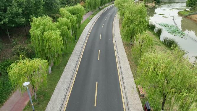 航拍夏季的钟山风景区中山陵梅花谷路