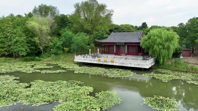 航拍夏季的中山陵燕雀湖