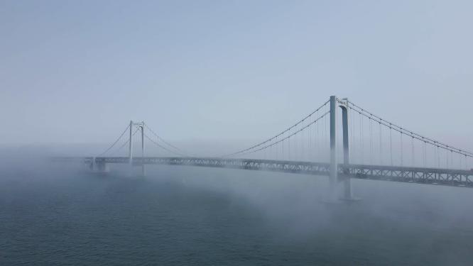 航拍云海中的大连星海湾大桥