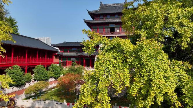 航拍秋日里的南京毗卢寺风光