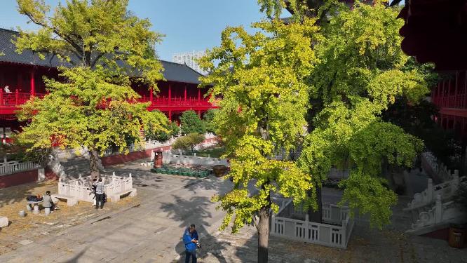 航拍秋日里的南京毗卢寺风光
