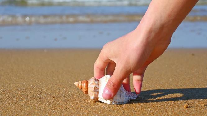 海边旅行时在海滩上捡贝壳