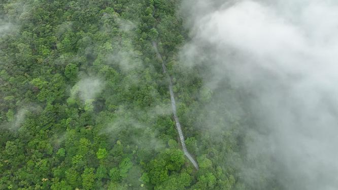 深圳梧桐山云海航拍