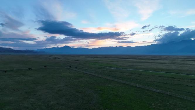 中国新疆赛里木湖夏季风景