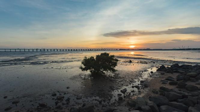 深圳西湾红树林日落延时风景