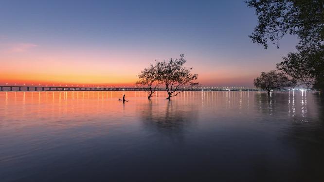 深圳西湾红树林日落美景