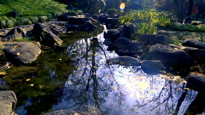 小溪流水