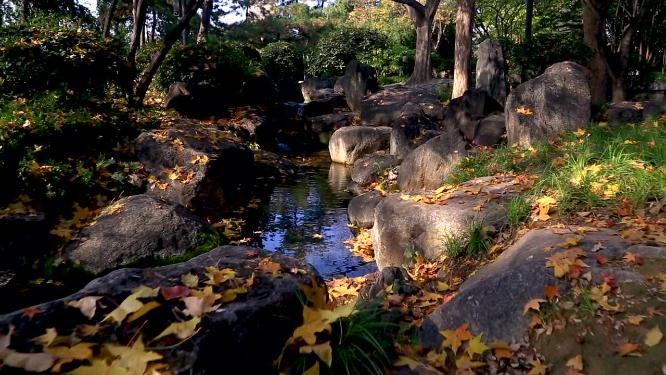 小溪流水