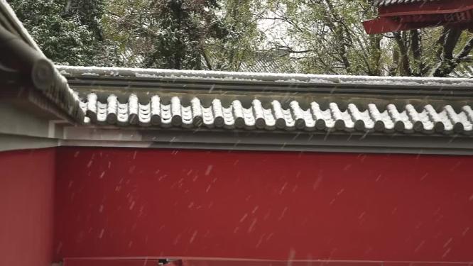 2022年的第一场雪  雪景