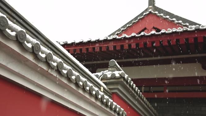 2022年的第一场雪  雪景
