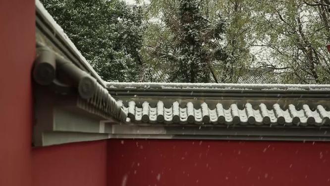 2022年的第一场雪  雪景