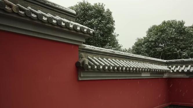 2022年的第一场雪  雪景