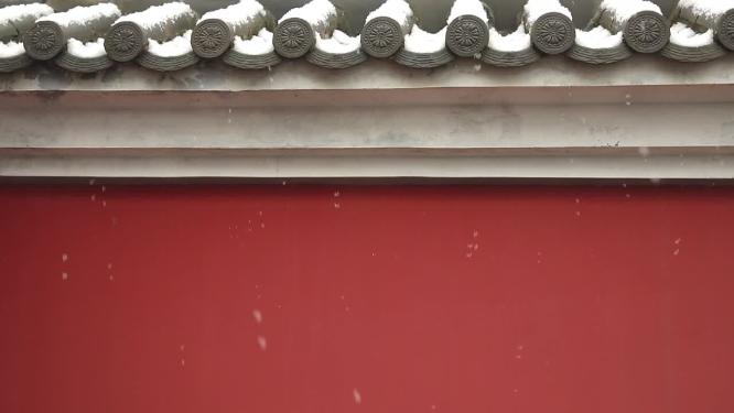 2022年的第一场雪  雪景