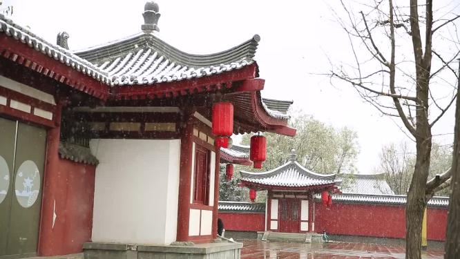2022年的第一场雪  雪景