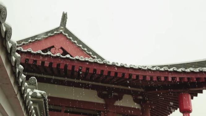 2022年的第一场雪  雪景