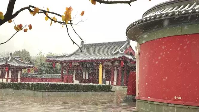 2022年的第一场雪  雪景