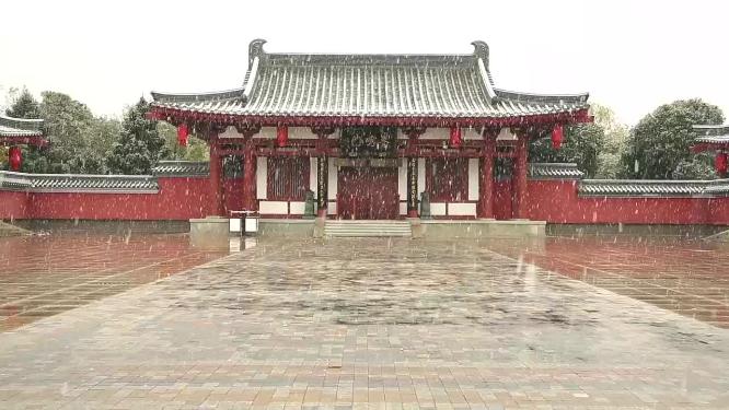 2022年的第一场雪  雪景