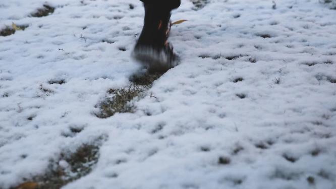 大雪纷飞的冬天  雪景雪天