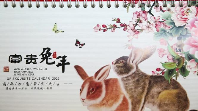 2023兔年 新年 新春 年味 福 
