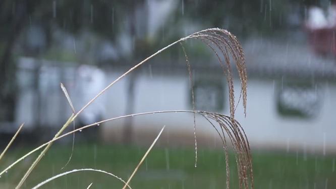 大雪下的古建筑  雨雪交加的冬天