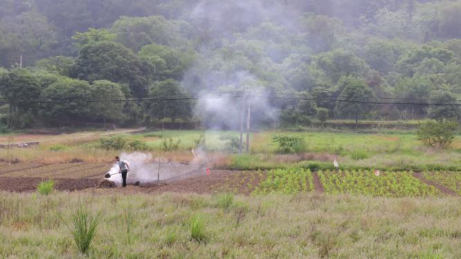 农村春耕锄地开始田间劳作