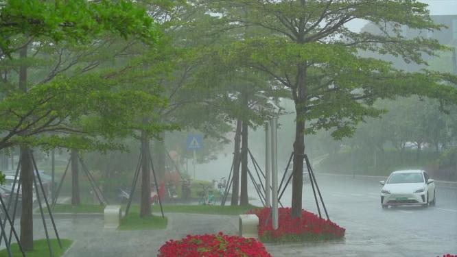 暴雨升格慢动作细节视频