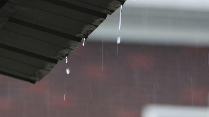 下雨升格慢镜头4K实拍