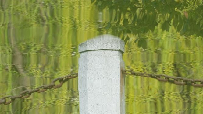 水中绿树倒影实拍镜头