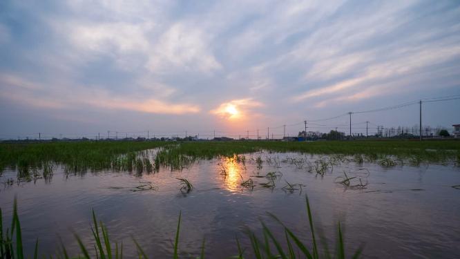 傍晚夕阳水稻村庄延时实拍