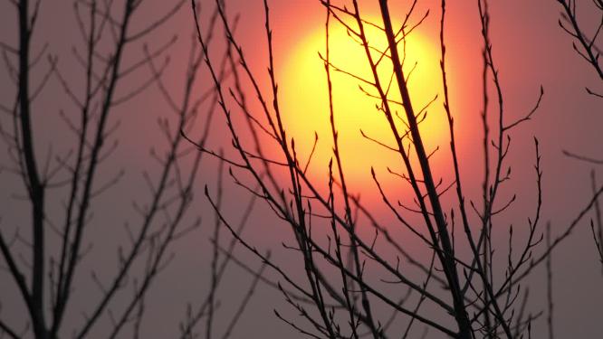 超唯美夕阳落日实拍镜头