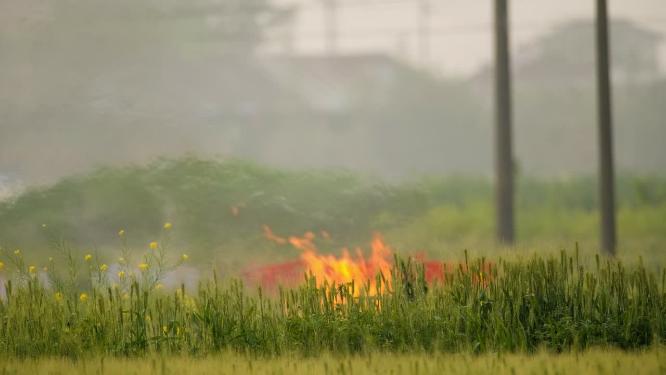 农村焚烧秸秆禁烧污染