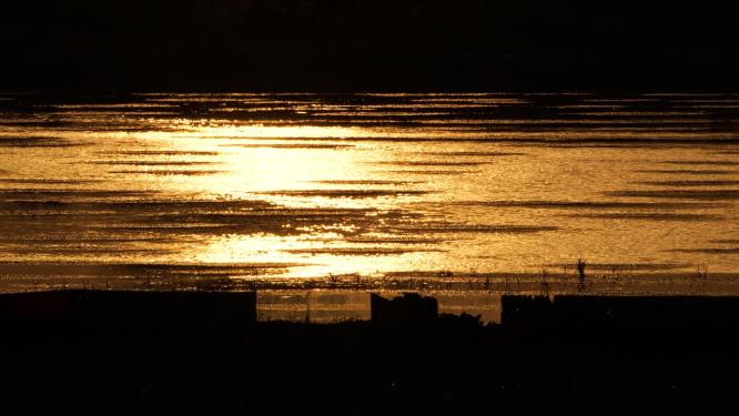 傍晚黄昏水面金色夕阳日落逆光剪影