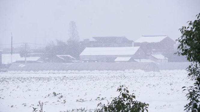 冬天冬季农村乡村鹅毛大雪白雪皑皑