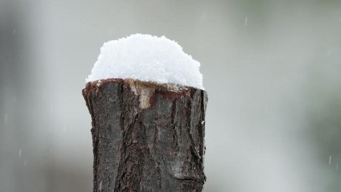 冬天季下雪木桩砖墙积白飘雪皑