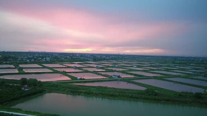 崇明区原野景色