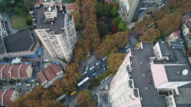 徐家汇城市景观