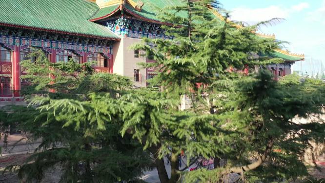 上海体育学院