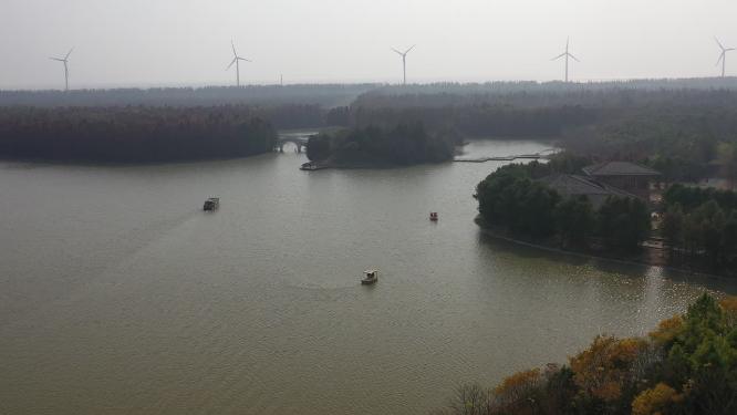 奉贤海湾森林公园