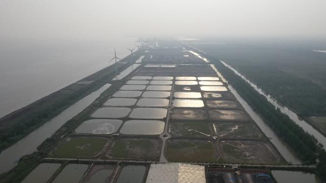 奉贤海湾鱼塘