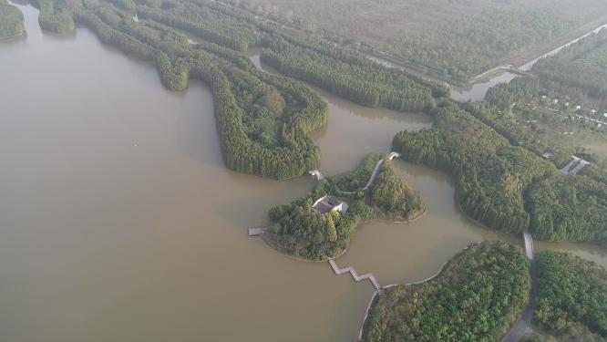 上海海湾国家森林公园
