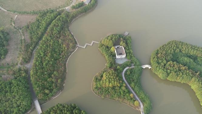 上海海湾国家森林公园