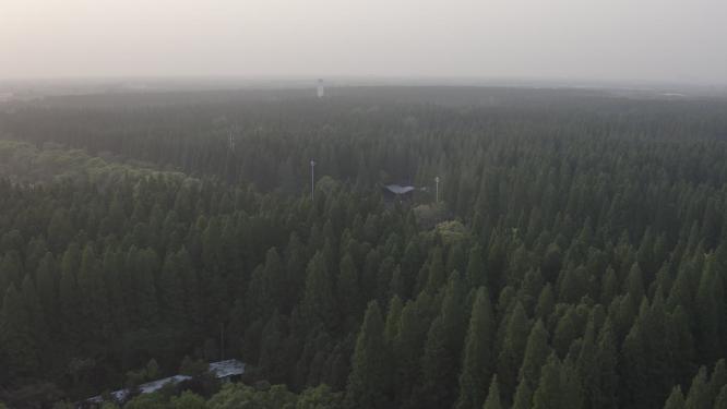 东平森林公园