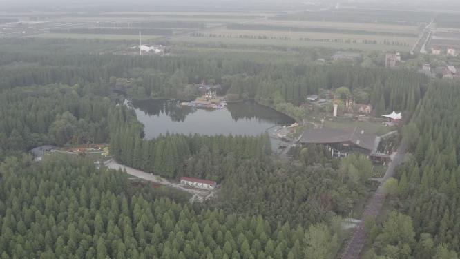 东平森林公园