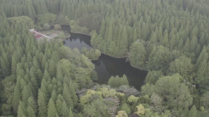 东平森林公园