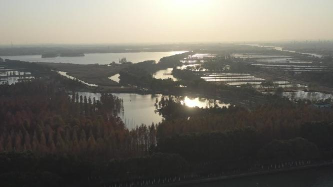 青西郊野公园
