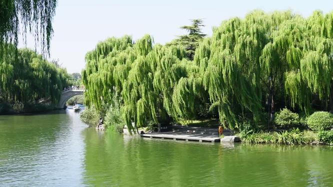 山东省济南市天下第一泉大明湖公园景区景色